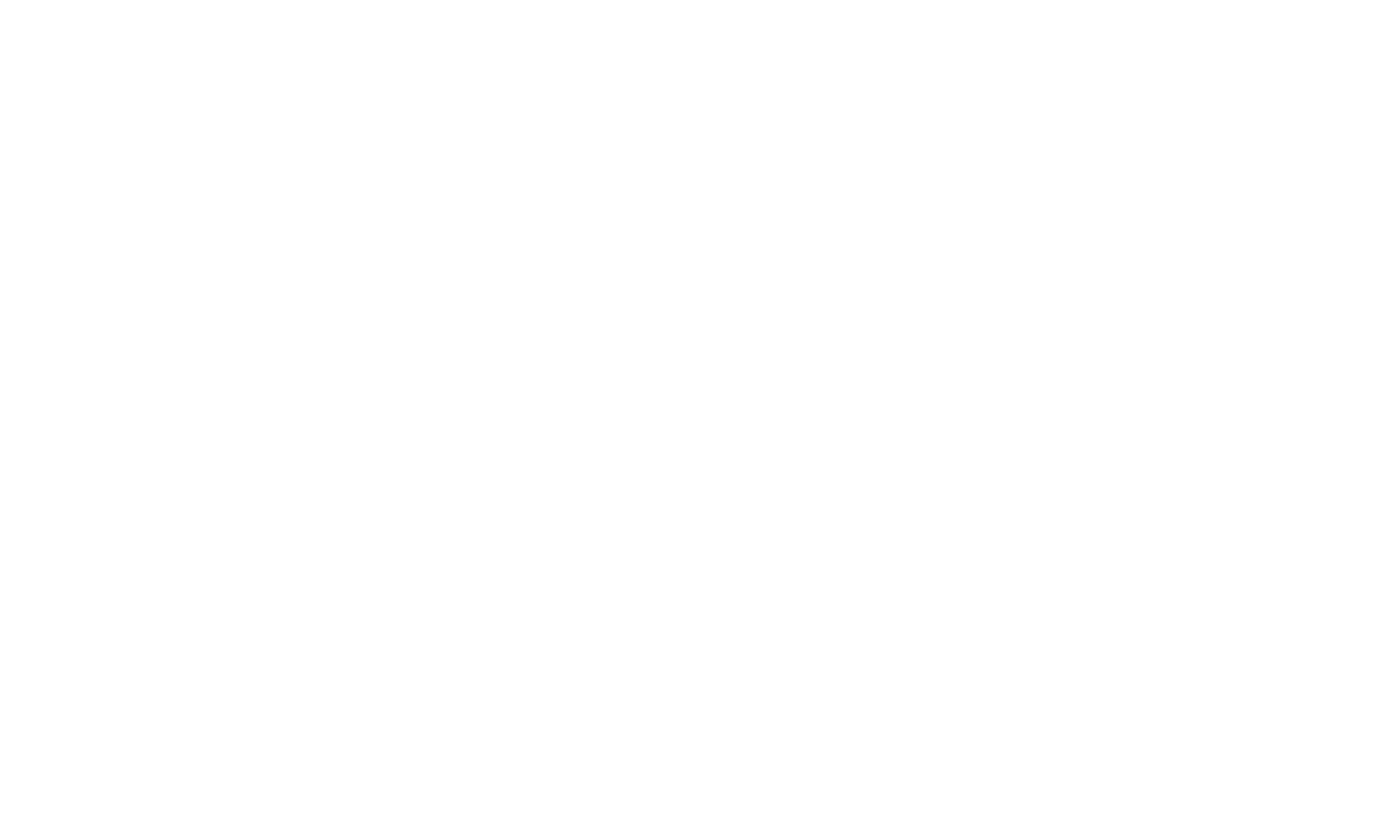 Nuxt / Vue